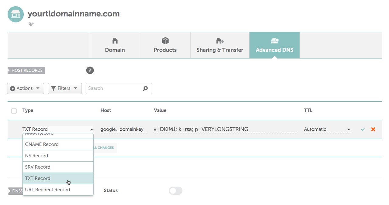 Add the TXT record to the Advanced DNS